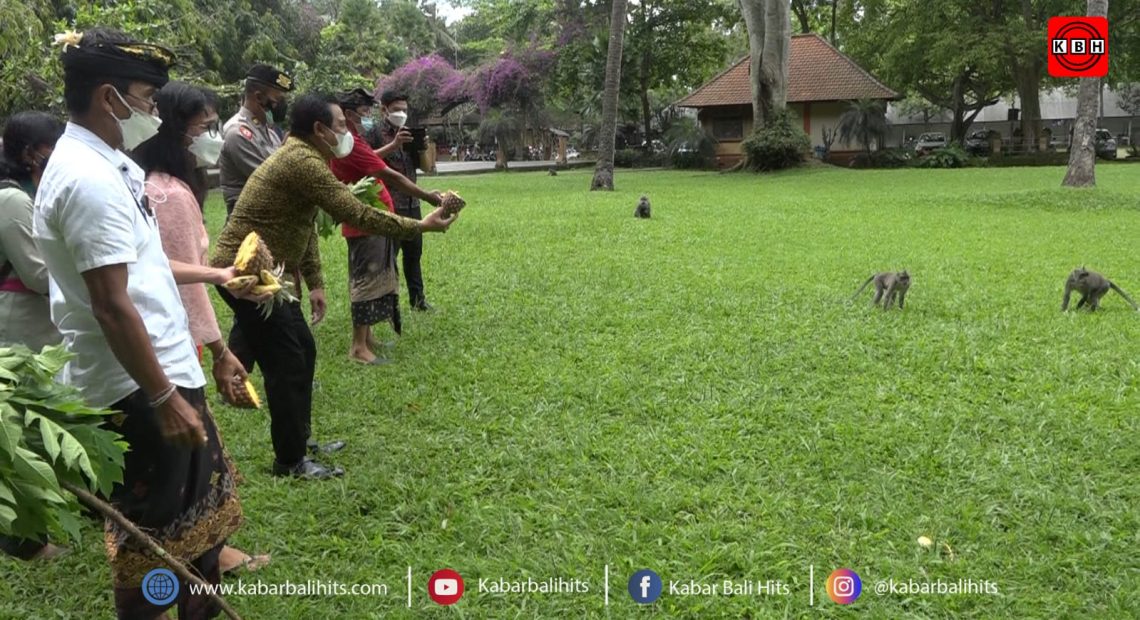 Wayan Suyasa Support Program Pemberian Makanan Monyet di Sangeh, Juga Bagikan Sembako Kepada Pengurus Himpaudi Badung