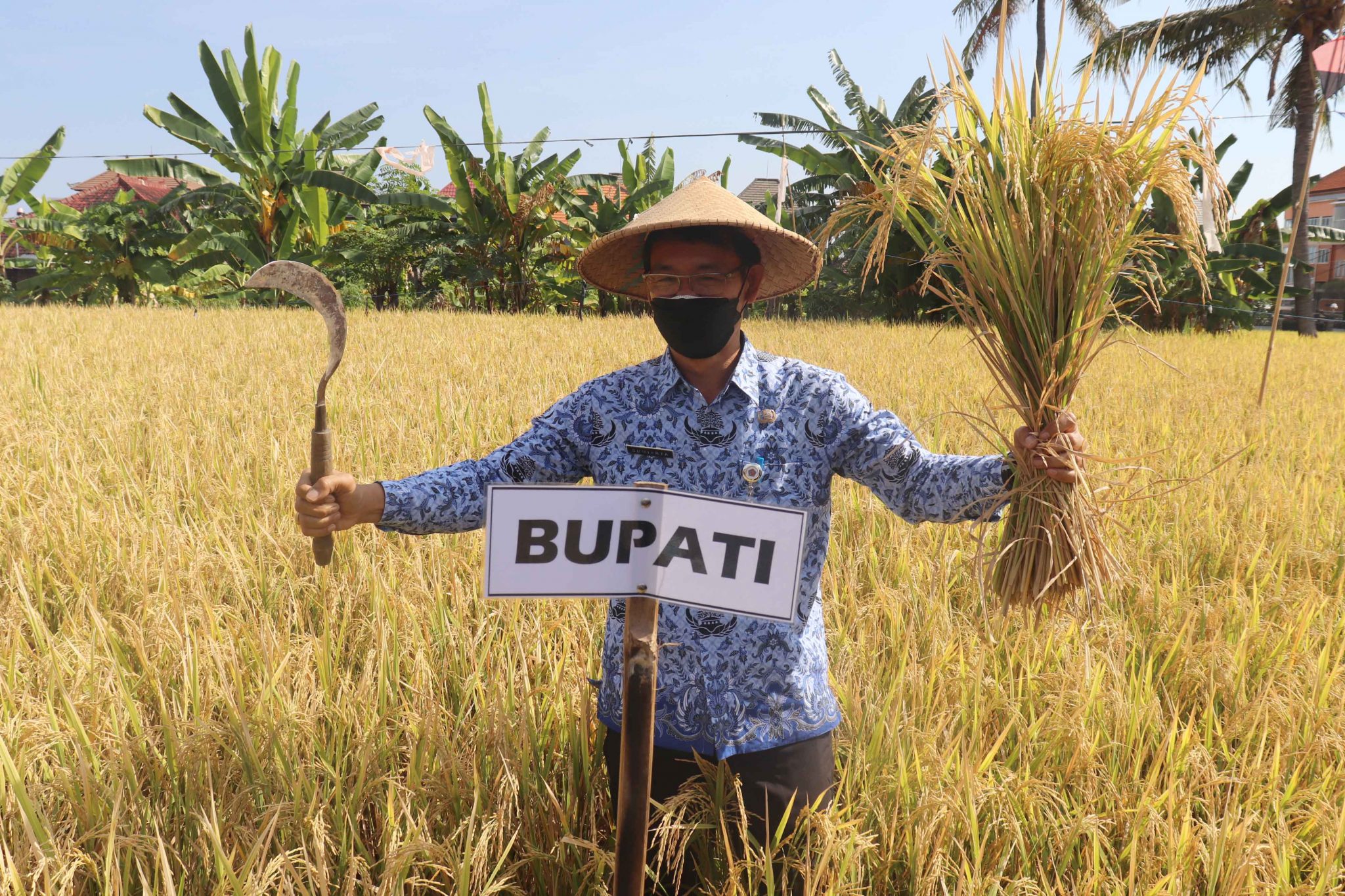 Demplot Eco-Farming, Langkah Strategis Peningkatan Produksi Pertanian ...