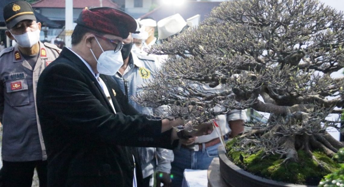 Bupati Tabanan Harapkan Festival Bonsai Sebagai Ajang Pelestarian Lingkungan